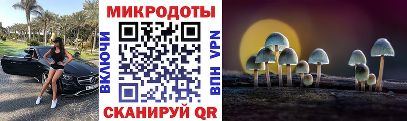 Купить закладки Богучар Галлюциногенные грибы Cubensis