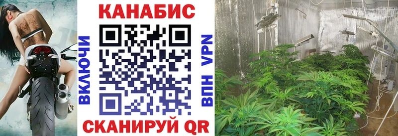 Купить  Богучар  Бошки Шишки ГИДРОПОН 